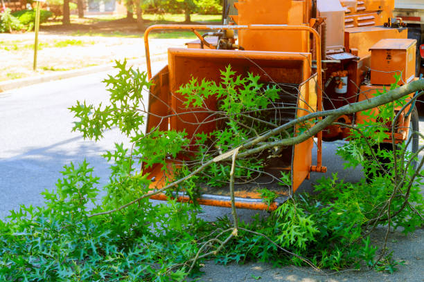 Mulching Services in William Paterson University Of New Jersey, NJ